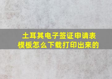 土耳其电子签证申请表模板怎么下载打印出来的