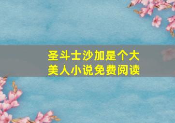 圣斗士沙加是个大美人小说免费阅读