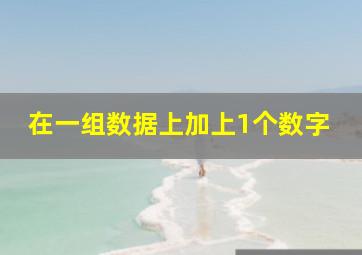 在一组数据上加上1个数字