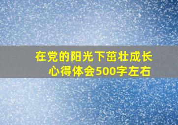 在党的阳光下茁壮成长心得体会500字左右