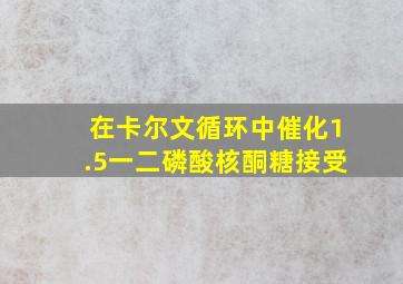 在卡尔文循环中催化1.5一二磷酸核酮糖接受