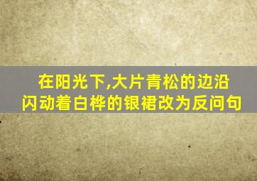 在阳光下,大片青松的边沿闪动着白桦的银裙改为反问句