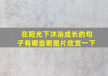 在阳光下沐浴成长的句子有哪些呢图片欣赏一下