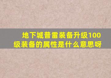 地下城普雷装备升级100级装备的属性是什么意思呀