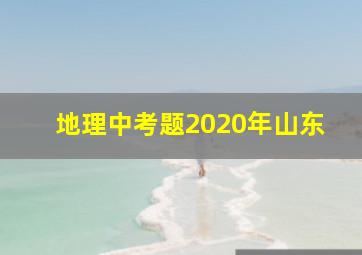 地理中考题2020年山东