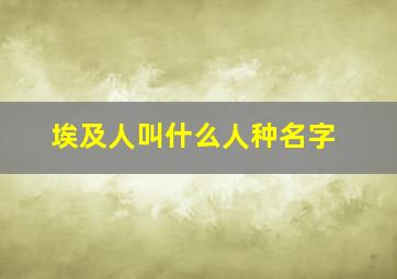 埃及人叫什么人种名字