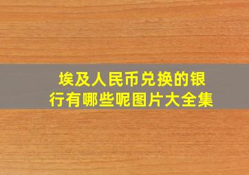 埃及人民币兑换的银行有哪些呢图片大全集