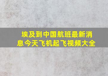 埃及到中国航班最新消息今天飞机起飞视频大全