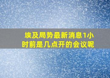 埃及局势最新消息1小时前是几点开的会议呢