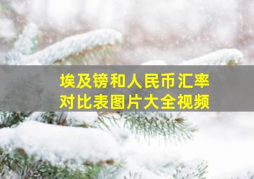 埃及镑和人民币汇率对比表图片大全视频