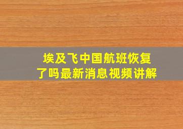 埃及飞中国航班恢复了吗最新消息视频讲解