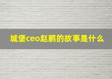 城堡ceo赵鹏的故事是什么