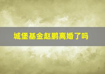 城堡基金赵鹏离婚了吗