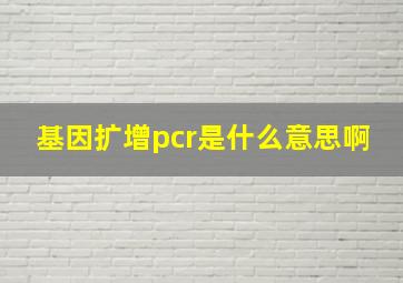 基因扩增pcr是什么意思啊