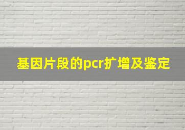 基因片段的pcr扩增及鉴定