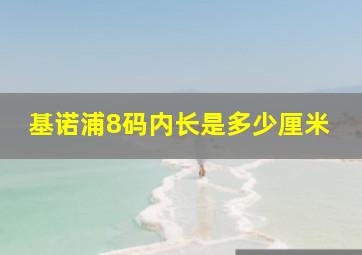 基诺浦8码内长是多少厘米