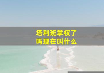 塔利班掌权了吗现在叫什么