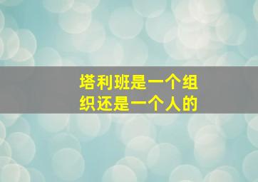 塔利班是一个组织还是一个人的