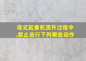 塔式起重机顶升过程中,禁止进行下列哪些动作