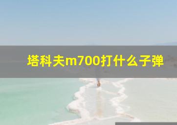 塔科夫m700打什么子弹