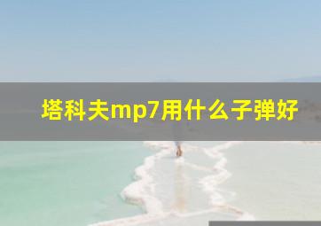 塔科夫mp7用什么子弹好