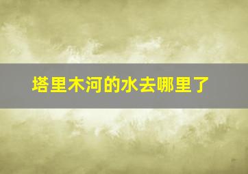 塔里木河的水去哪里了