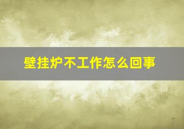 壁挂炉不工作怎么回事