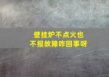 壁挂炉不点火也不报故障咋回事呀