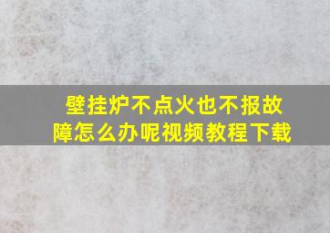 壁挂炉不点火也不报故障怎么办呢视频教程下载