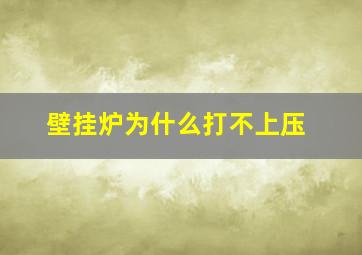 壁挂炉为什么打不上压