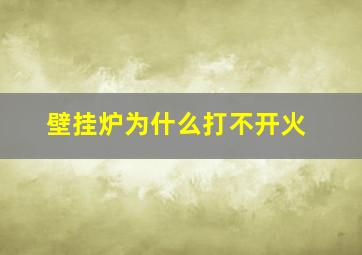 壁挂炉为什么打不开火