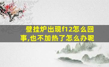 壁挂炉出现f12怎么回事,也不加热了怎么办呢