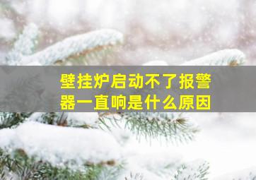 壁挂炉启动不了报警器一直响是什么原因