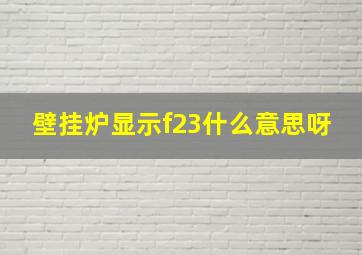 壁挂炉显示f23什么意思呀