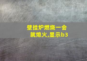 壁挂炉燃烧一会就熄火,显示b3