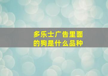 多乐士广告里面的狗是什么品种