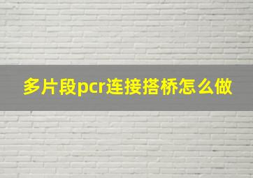 多片段pcr连接搭桥怎么做