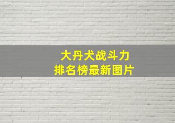 大丹犬战斗力排名榜最新图片