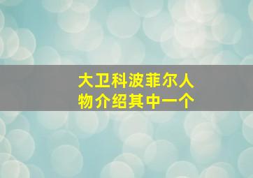 大卫科波菲尔人物介绍其中一个