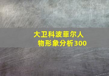 大卫科波菲尔人物形象分析300