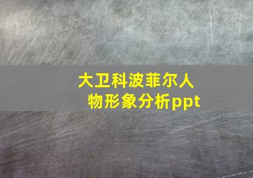 大卫科波菲尔人物形象分析ppt