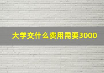 大学交什么费用需要3000