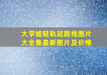 大学城轻轨站路线图片大全集最新图片及价格