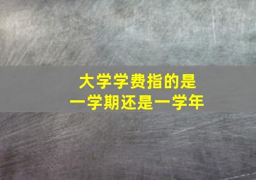 大学学费指的是一学期还是一学年