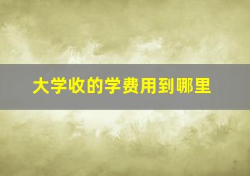 大学收的学费用到哪里