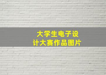 大学生电子设计大赛作品图片