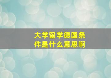 大学留学德国条件是什么意思啊