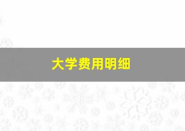 大学费用明细