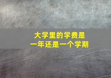 大学里的学费是一年还是一个学期