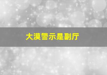 大漠警示是副厅